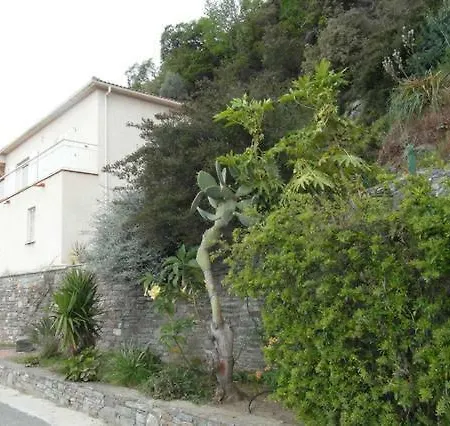 Studio Vue Et Plaine